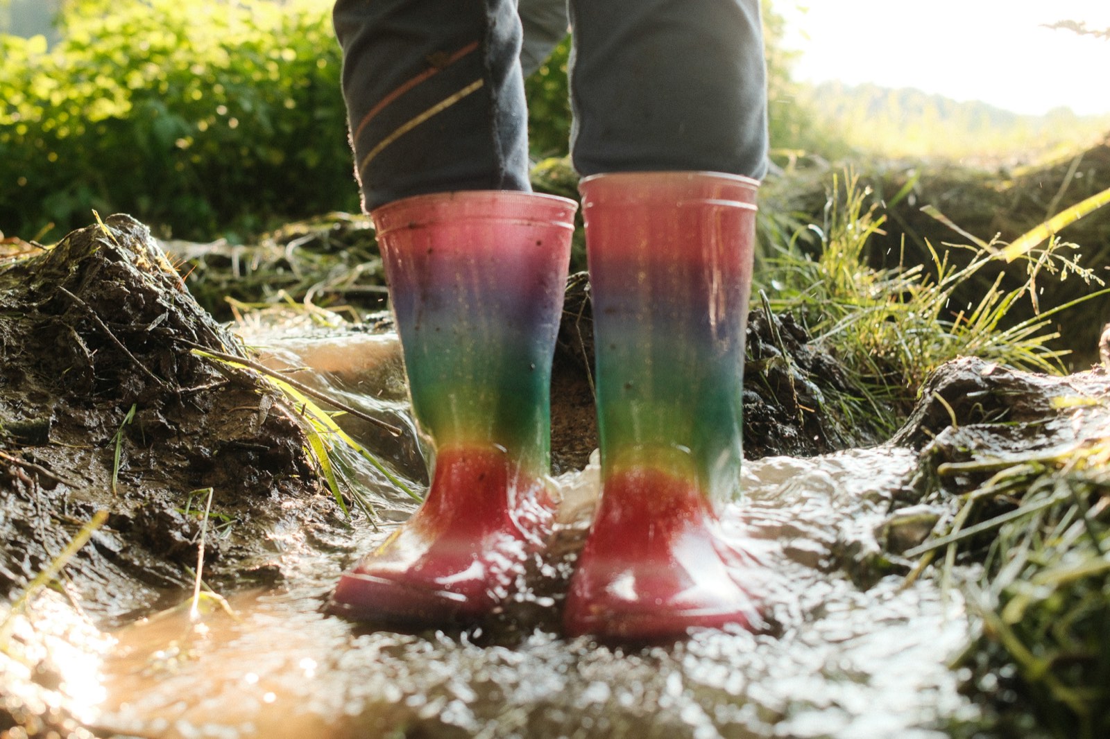 Bunte Gummistiefel stehen im Matsch, von der tiefen Sonne beleuchtet